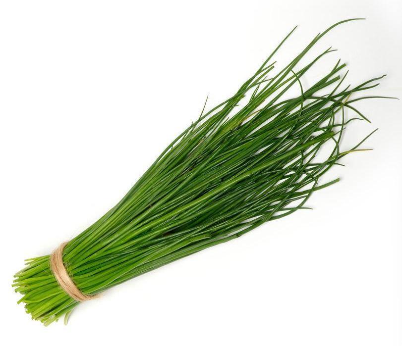 Chives — Fresh Connection